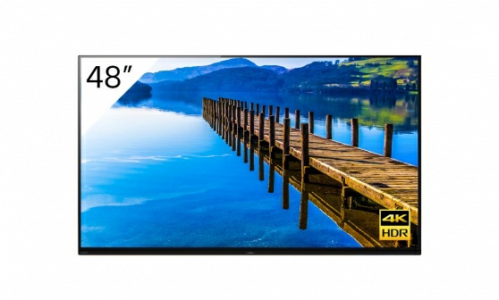 SONY 48” BRAVIA 4K Ultra HD HDR Professional Display